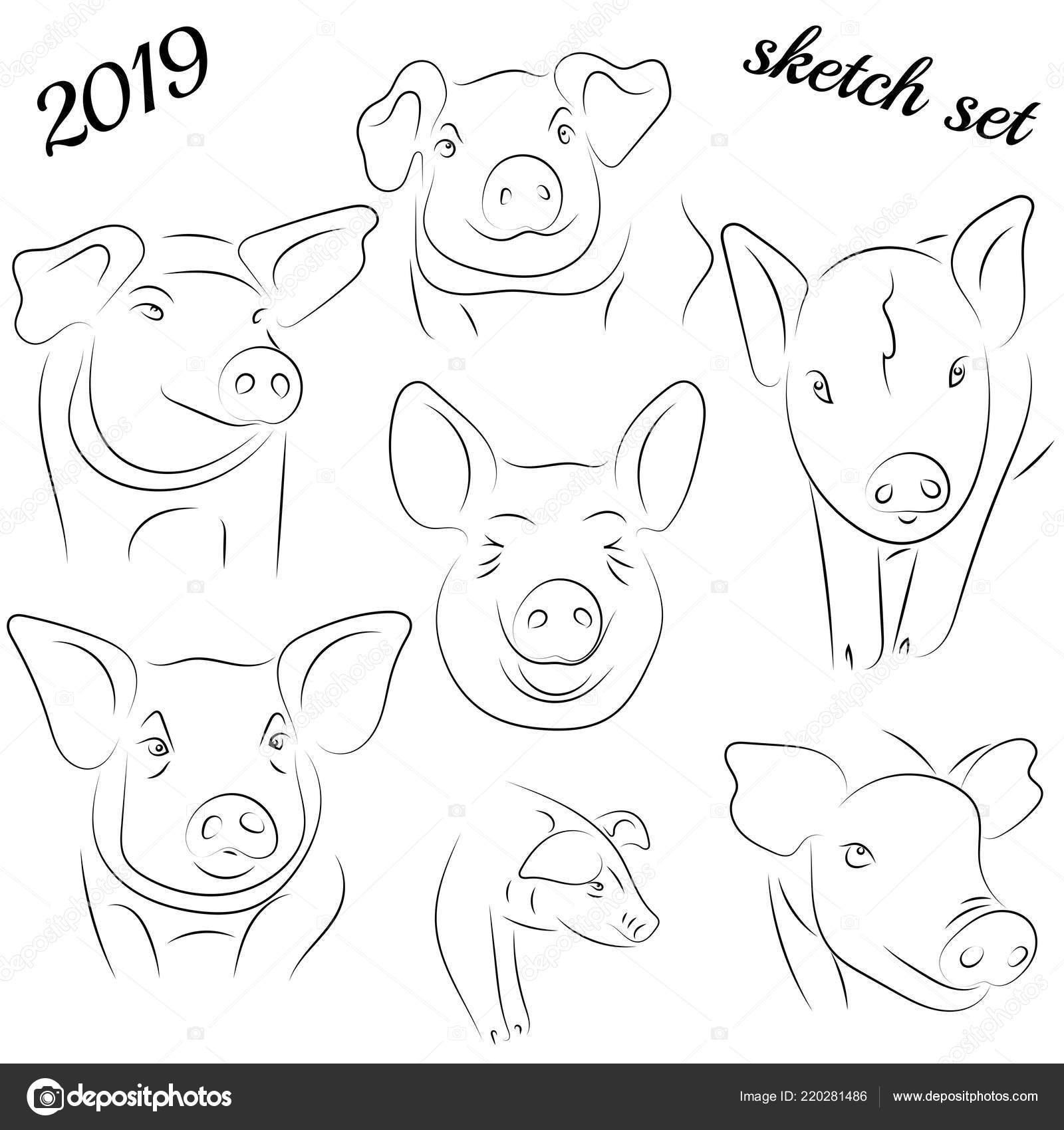 COMO DESENHAR um PORCO 🐷