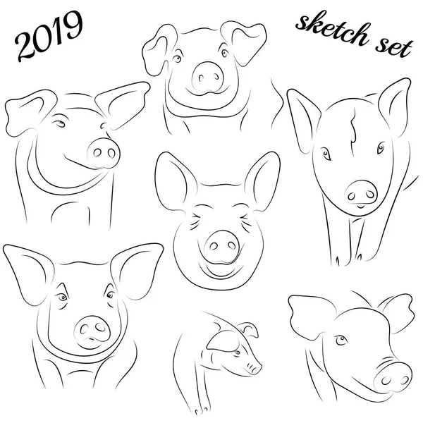 Schets Van Varken Tekening Varkens Varkensvlees Varken Symbool Logo Pictogram — Stockvector