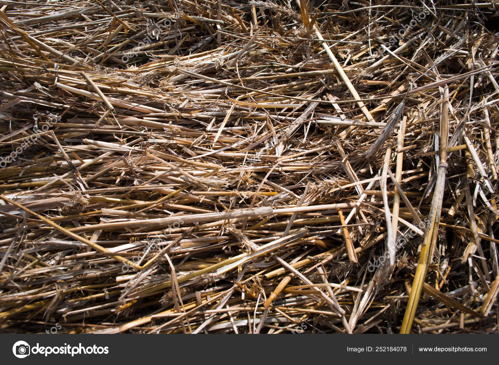 Straw, dry straw texture background Stock Photo by ©Roussanov 252184078