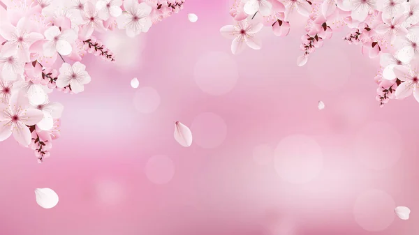 Fondo con flores de sakura rosa claro en flor — Vector de stock