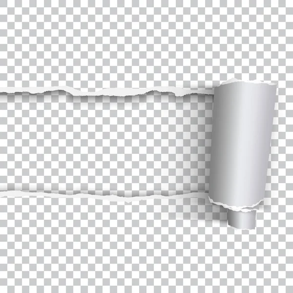 gerçekçi yırtık kağıt rulo edge ile