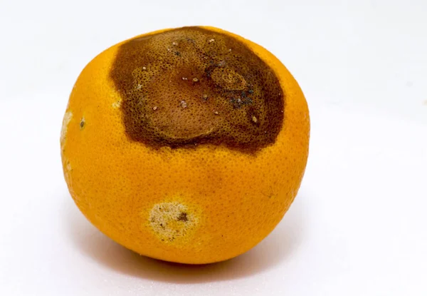 Naranja Con Estado Muy Bueno Para Ser Consumido Fondo Blanco —  Fotos de Stock