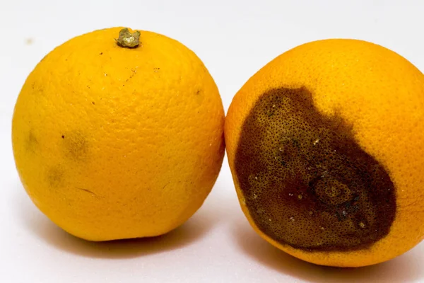 Due Arancioni Una Buona Consumo Altra Sfondo Bianco — Foto Stock