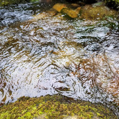 Kayaların üzerinden akan temiz dağ akıntısının yakın çekim alanı görünür dalgalar ve önplandaki yosunlu taşlar, Siguer vadisi, Fransız Pireneleri, Avrupa