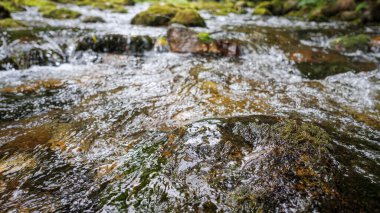 Siguer, Fransız Pireneleri 'ndeki yosunlu kayaların üzerinden akan temiz tatlı su akıntısı doğal dokuları ve el değmemiş doğadaki hareketleri vurguluyor.