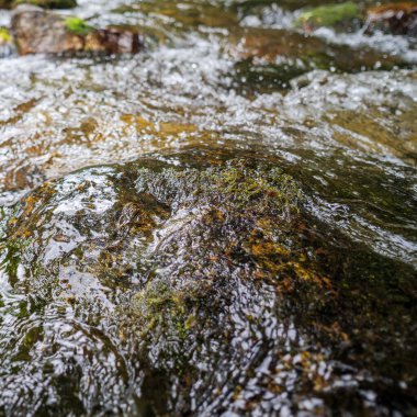 Fransız Pireneleri 'ndeki yosun kaplı kayaların üzerinden akan tatlı dağ suyu saflığın ve doğal tazeliğin sembolü..