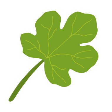 El yapımı karpuz yaprağı, botanik illüstrasyon klipleri. vektör illüstrasyonu