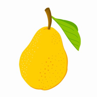 Elle çizilmiş sulu sarı armut çizgi film ikonu. Beyaz zemin üzerinde yaprak izole taze armut