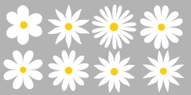 Set of daisy flower vector icons. Hand drawn simple daisy flowers collection