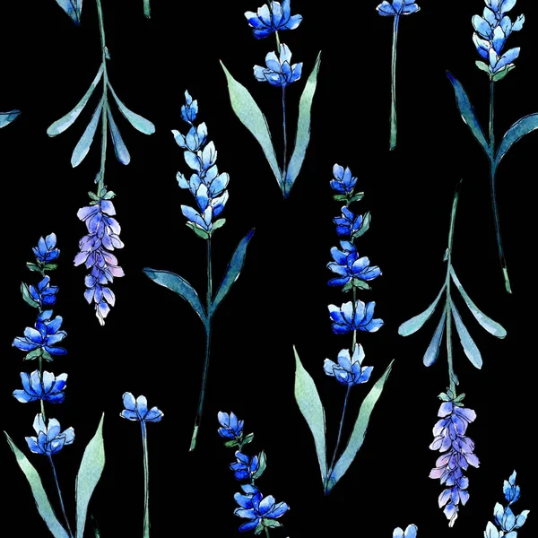 Голубая лаванда. Цветочный ботанический цветок. Дикий весенний цветочный узор в стиле акварели . — стоковое фото