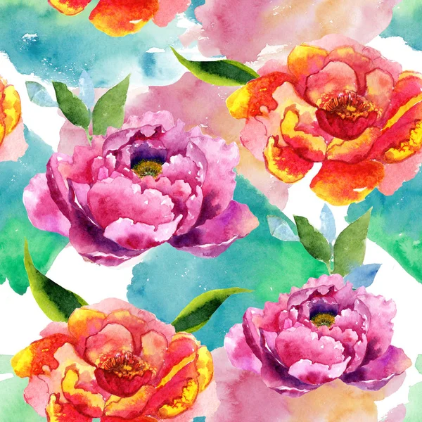 Modèle de fleur rose pivoine fleur sauvage dans un style aquarelle . — Photo
