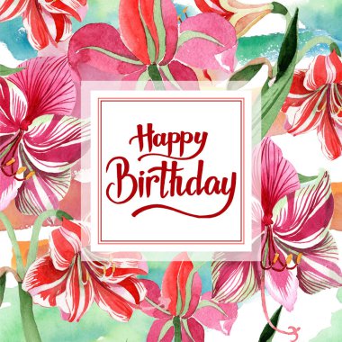 Pembe çizgili nergis zambağı. Botanik çiçek. Vahşi bahar yaprak kır çiçeği çerçeve.