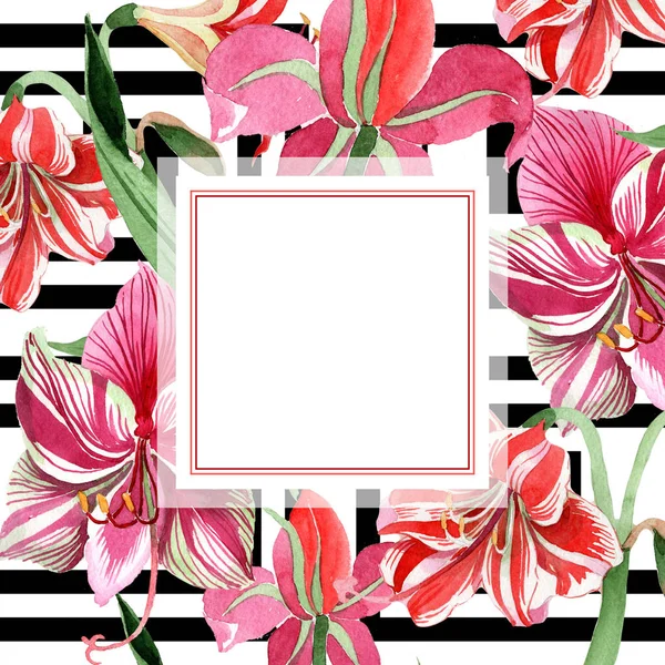 Rózsaszín csíkos amaryllis. Virágos botanikai virág. Vad tavaszi levél vadvirág keret. — Stock Fotó