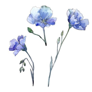 Mavi keten. Botanik çiçek. Vahşi bahar yaprak izole kır çiçeği. Arka plan, doku, sarıcı desen, çerçeve veya kenarlık için Aquarelle kır çiçeği.