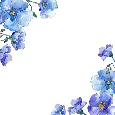 Mavi keten. Botanik çiçek. Vahşi bahar yaprak kır çiçeği çerçeve.