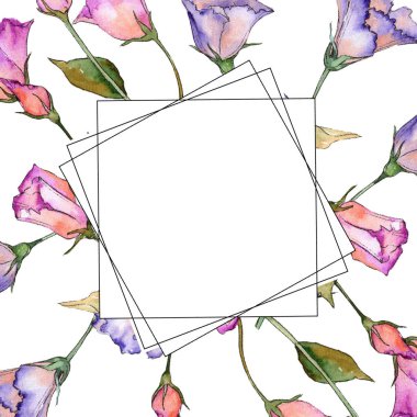 Pembe ve mor eustoma. Botanik çiçek. Vahşi bahar yaprak kır çiçeği çerçeve.