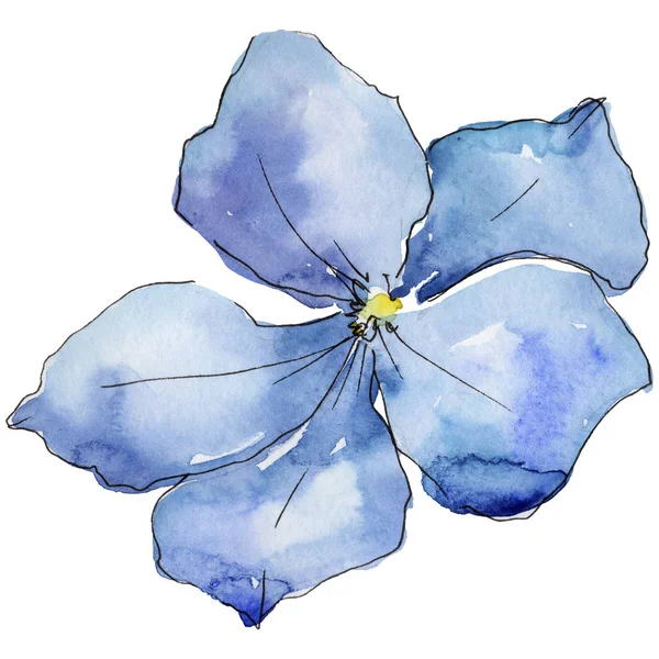 青い亜麻。花植物の花。分離した野生春葉ワイルドフラワー. — ストック写真