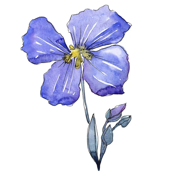Lino blu. Fiore botanico floreale. Foglia selvatica primavera fiore selvatico isolato . — Foto Stock