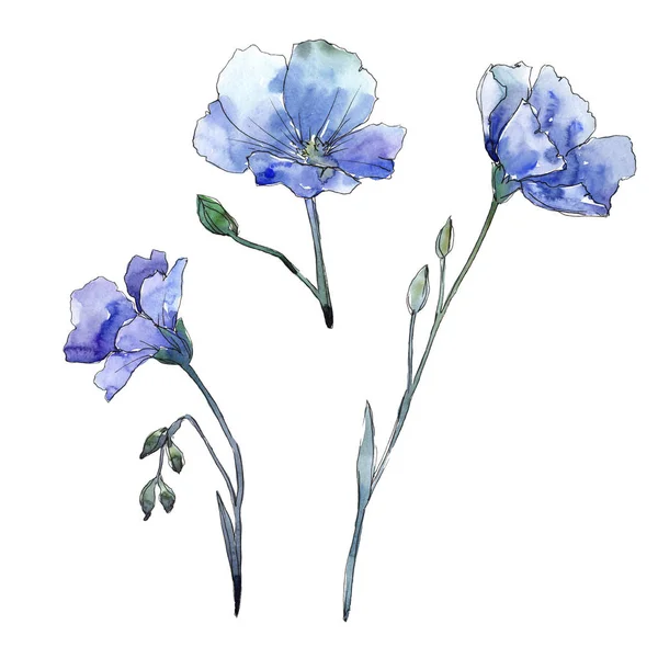 蓝色亚麻 花卉植物花 野生春叶野花分离 包装图案 框架或边框的水彩画野花 — 图库照片