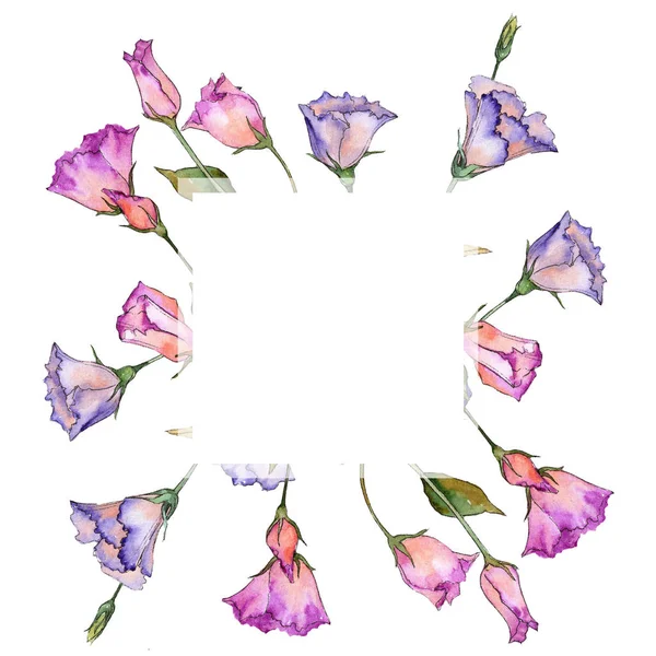 Eustoma rosa e viola. Fiore botanico floreale. Cornice selvatica foglia di primavera fiore selvatico . — Foto Stock