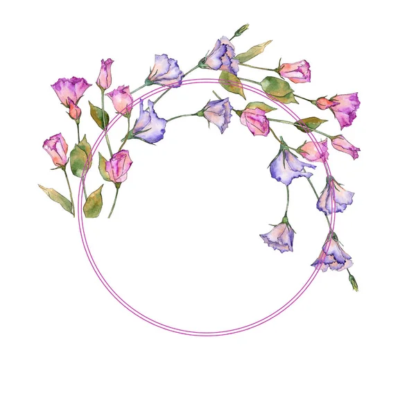 Eustomie rose et violette. Fleur botanique florale. Feuille de printemps sauvage cadre de fleurs sauvages . — Photo
