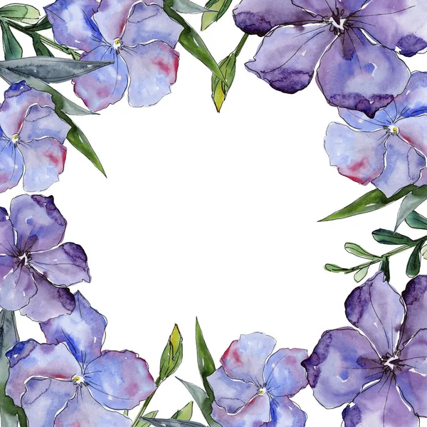 Renkli keten. Botanik çiçek. Çerçeve kenarlığı süsleme Meydanı.