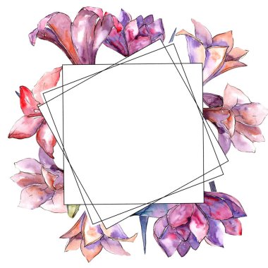 Pembe nergis zambağı. Botanik çiçek. Çerçeve kenarlığı süsleme Meydanı. Arka plan, doku, sarıcı desen, çerçeve veya kenarlık için Aquarelle kır çiçeği.