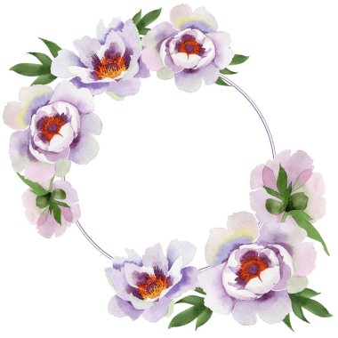 Yavaşça pembe peonies. Botanik çiçek. Çerçeve kenarlığı süsleme Meydanı. Arka plan, doku, sarıcı desen, çerçeve veya kenarlık için Aquarelle kır çiçeği.