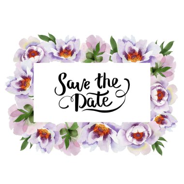 Yavaşça pembe peonies. Botanik çiçek. Çerçeve kenarlığı süsleme Meydanı. Arka plan, doku, sarıcı desen, çerçeve veya kenarlık için Aquarelle kır çiçeği.