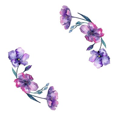 Menekşe keten. Botanik çiçek. Vahşi bahar yaprak izole kır çiçeği. Arka plan, doku, sarıcı desen, çerçeve veya kenarlık için Aquarelle kır çiçeği.