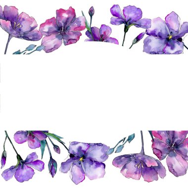 Menekşe keten. Botanik çiçek. Çerçeve kenarlığı süsleme Meydanı. Arka plan, doku, sarıcı desen, çerçeve veya kenarlık için Aquarelle kır çiçeği.