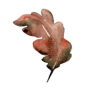 Meşe yaprağı. Yaprak bitki botanik bahçe çiçek yaprakları. Aquarelle yaprak için arka plan, doku, sarıcı desen, çerçeve veya kenarlık.