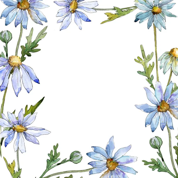 Margarida Branca Floral Flor Botânica Quadro Borda Ornamento Quadrado Aquarelle — Fotografia de Stock
