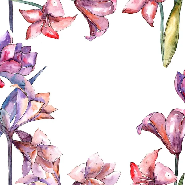 Pink Amaryllis Floral Botanical Flower Frame Border Ornament Square Aquarelle — Stock Photo, Image