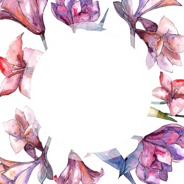 Rosa Amaryllis Blütenbotanische Blume Rahmen Bordüre Ornament Quadrat Aquarell Wildblume — Stockfoto