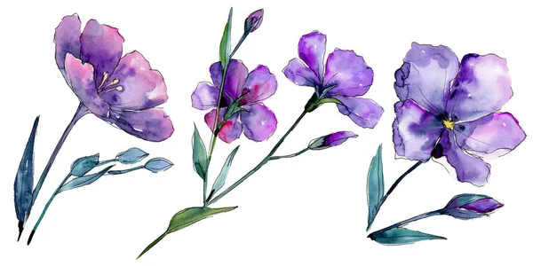 Fialový Len Květinové Botanické Květin Divoký Jarní Listové Wildflower Izolován — Stock fotografie