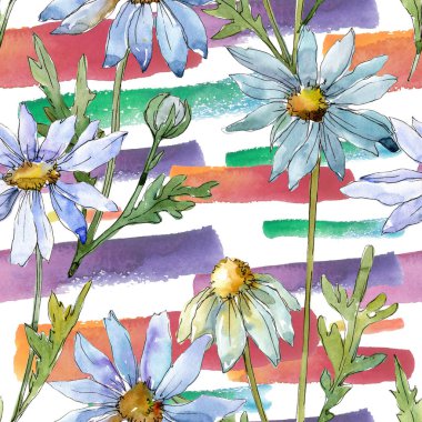 Beyaz papatya. Sorunsuz arka plan deseni. Kumaş duvar kağıdı yazdırma doku. Arka plan, doku, sarıcı desen, çerçeve veya kenarlık için Aquarelle kır çiçeği.