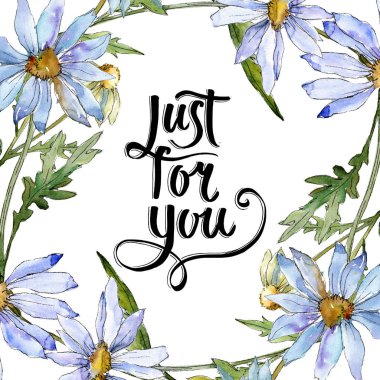 Beyaz papatya. Botanik çiçek. Çerçeve kenarlığı süsleme Meydanı. Arka plan, doku, sarıcı desen, çerçeve veya kenarlık için Aquarelle kır çiçeği.