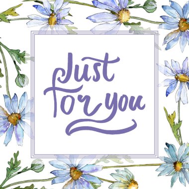 Beyaz papatya. Botanik çiçek. Çerçeve kenarlığı süsleme Meydanı. Arka plan, doku, sarıcı desen, çerçeve veya kenarlık için Aquarelle kır çiçeği.