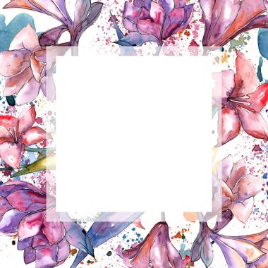 Pembe nergis zambağı. Botanik çiçek. Çerçeve kenarlığı süsleme Meydanı. Arka plan, doku, sarıcı desen, çerçeve veya kenarlık için Aquarelle kır çiçeği.