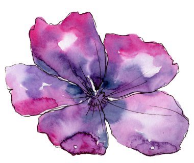 Menekşe keten. Botanik çiçek. Vahşi bahar yaprak izole kır çiçeği. Arka plan, doku, sarıcı desen, çerçeve veya kenarlık için Aquarelle kır çiçeği.