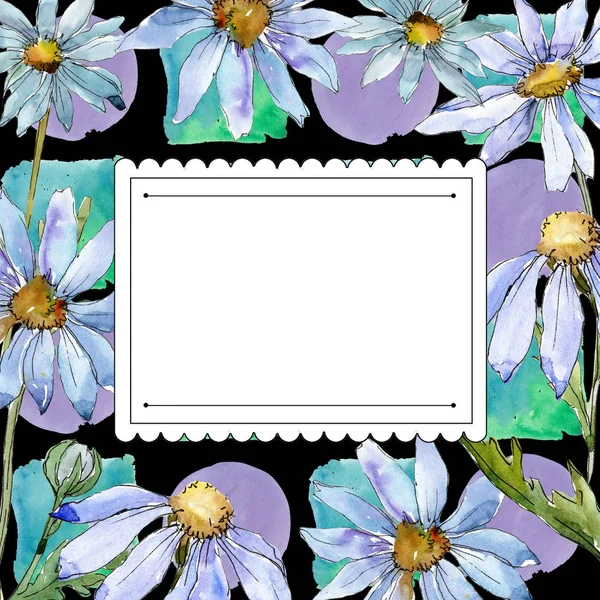 白雏菊 花卉植物花 框边框装饰广场 包装图案 框架或边框的水彩画野花 — 图库照片