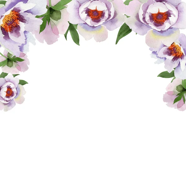 Peonías Delicadamente Rosadas Flor Botánica Floral Marco Borde Ornamento Cuadrado — Foto de Stock