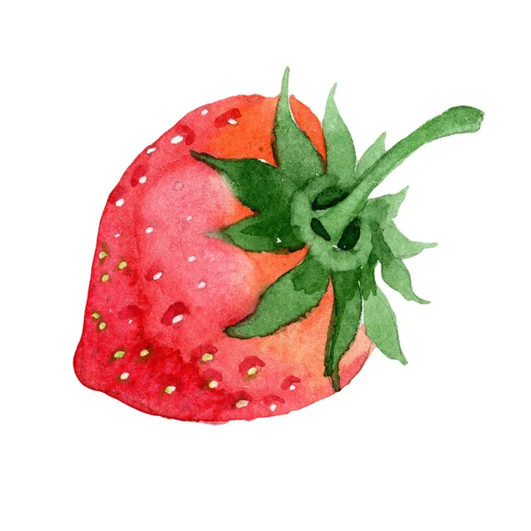 Rode Aardbeien Gezond Voedsel Een Aquarel Stijl Geïsoleerd Volledige Naam — Stockfoto