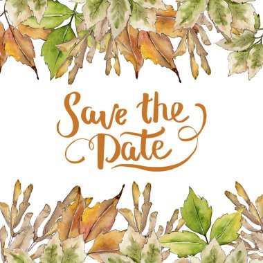 Akçaağaç suluboya tarzında bırakır. Çerçeve kenarlığı süsleme Meydanı. Aquarelle yaprak için arka plan, doku, sarıcı desen, çerçeve veya kenarlık.