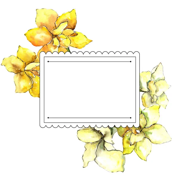 Geel Amaryllis Floral Botanische Bloem Frame Grens Ornament Vierkant Aquarelle — Stockfoto