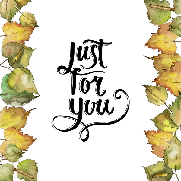 Huş ağacı bir suluboya tarzında bırakır. Çerçeve kenarlığı süsleme Meydanı. Aquarelle yaprak için arka plan, doku, sarıcı desen, çerçeve veya kenarlık.