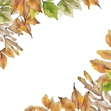 Akçaağaç suluboya tarzında bırakır. Çerçeve kenarlığı süsleme Meydanı. Aquarelle yaprak için arka plan, doku, sarıcı desen, çerçeve veya kenarlık.