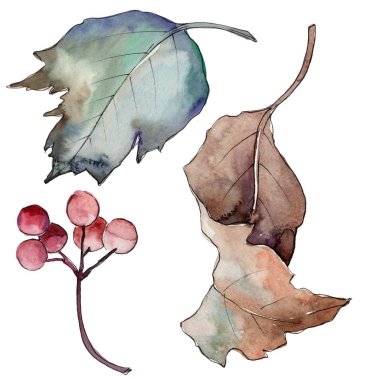 Kartopu izole bir suluboya tarzında bırakır. Aquarelle yaprak için arka plan, doku, sarıcı desen, çerçeve veya kenarlık.