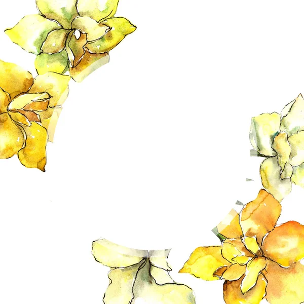 黄色阿玛丽利斯 花卉植物花 框边框装饰广场 包装图案 框架或边框的水彩画野花 — 图库照片